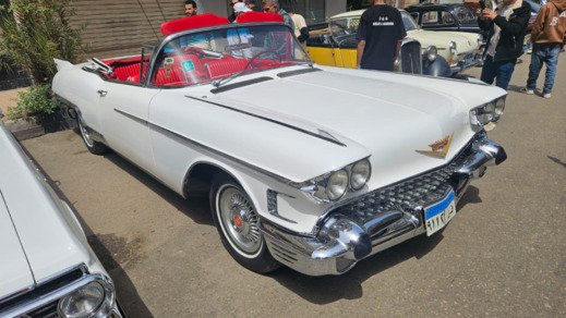 في احتفالية تراثية بالقاهرة.. أكثر من 60 سيارة كلاسيكية تزين شوارع العاصمة